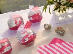 IMG 6327 redimensionnercbc peintre sur porcelaine